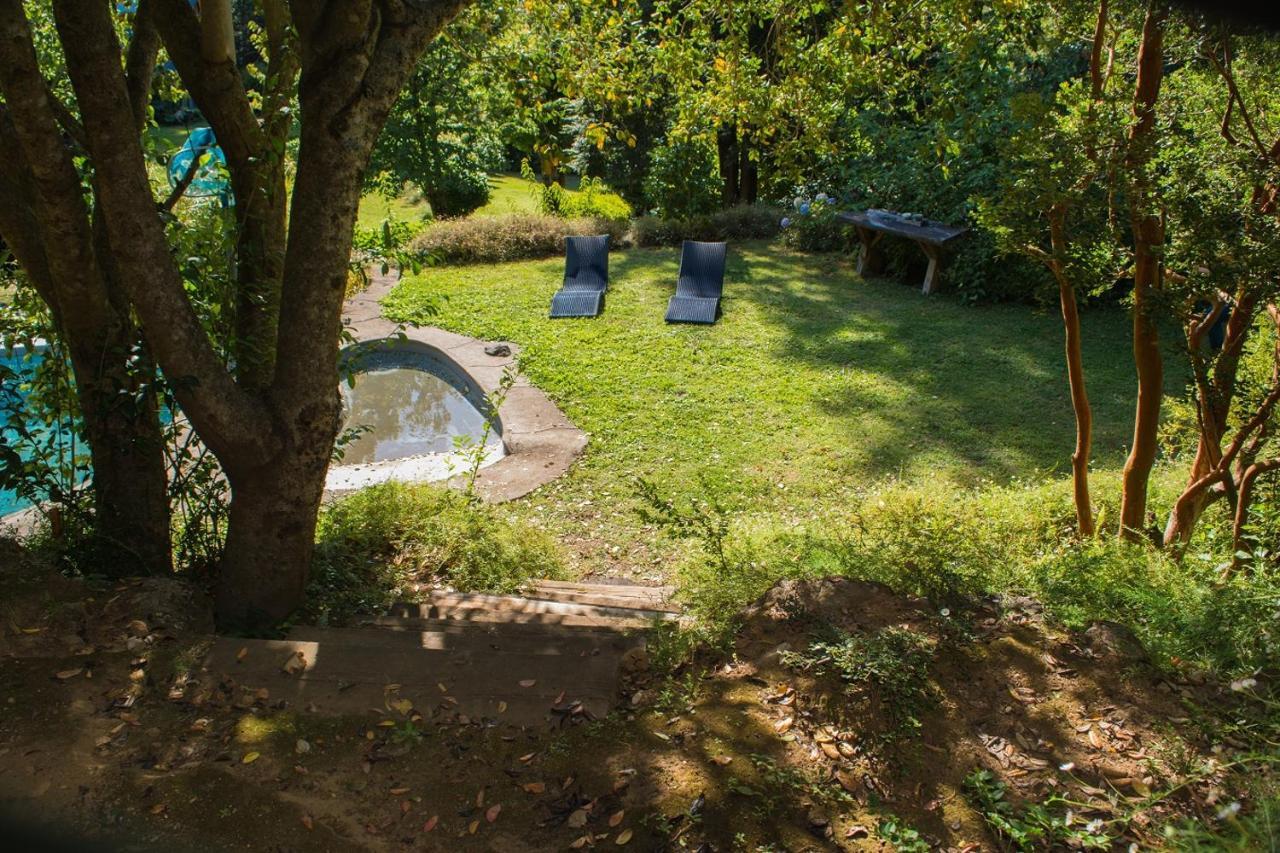 Celestial Inn Pucon Exterior photo